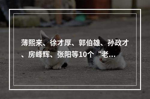 薄熙来、徐才厚、郭伯雄、孙政才、房峰辉、张阳等10个“老虎”，先后被写入 ...