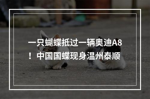 一只蝴蝶抵过一辆奥迪A8！中国国蝶现身温州泰顺