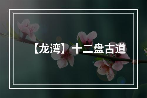 【龙湾】十二盘古道