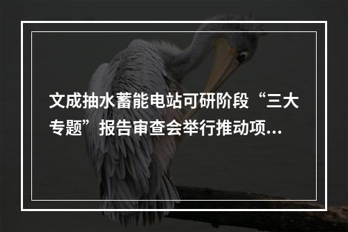 文成抽水蓄能电站可研阶段“三大专题”报告审查会举行推动项目早核准、早开 ...