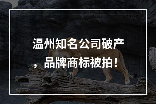 温州知名公司破产，品牌商标被拍！