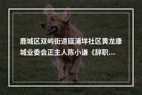鹿城区双屿街道瓯浦垟社区黄龙康城业委会正主人陈小谦《辞职告知书》读后感。