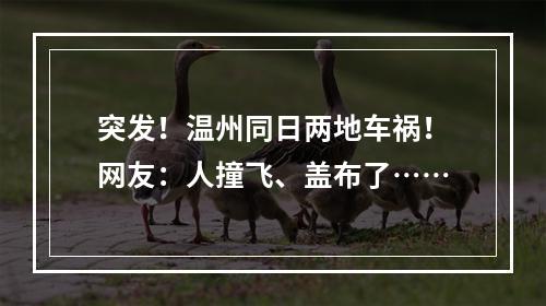 突发！温州同日两地车祸！网友：人撞飞、盖布了……