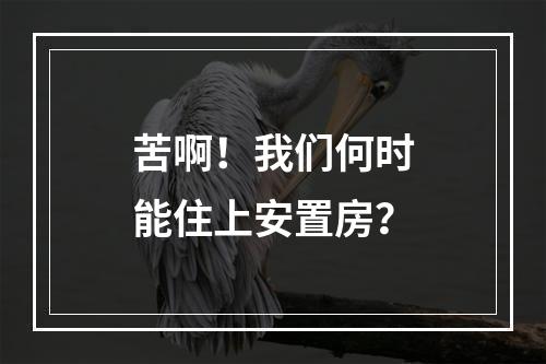 苦啊！我们何时能住上安置房？