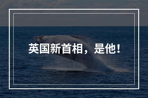 英国新首相，是他！