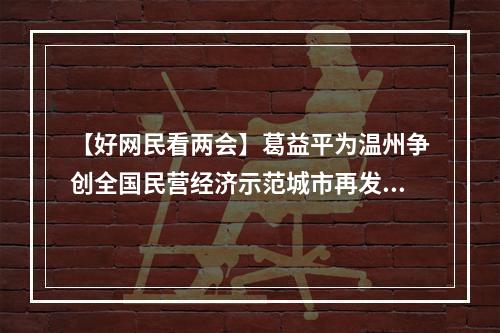 【好网民看两会】葛益平为温州争创全国民营经济示范城市再发声：早日从探路者真正成为模范生