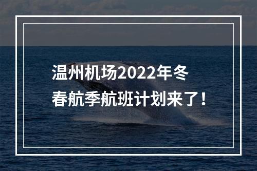 温州机场2022年冬春航季航班计划来了！