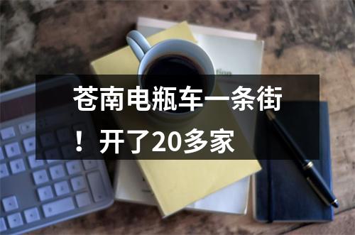 苍南电瓶车一条街！开了20多家