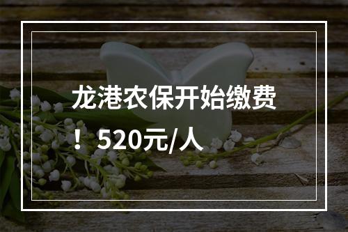 龙港农保开始缴费！520元/人