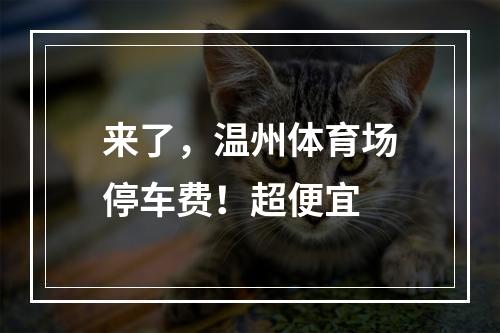 来了，温州体育场停车费！超便宜