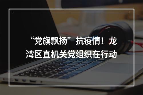 “党旗飘扬”抗疫情！龙湾区直机关党组织在行动
