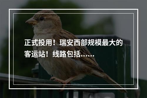 正式投用！瑞安西部规模最大的客运站！线路包括......