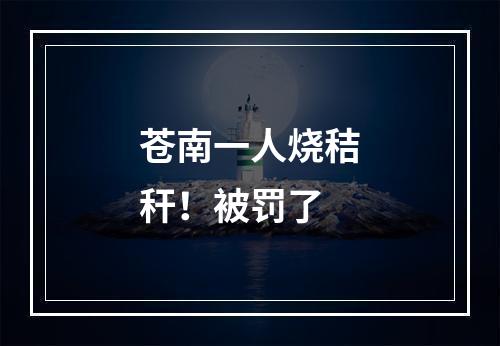 苍南一人烧秸秆！被罚了