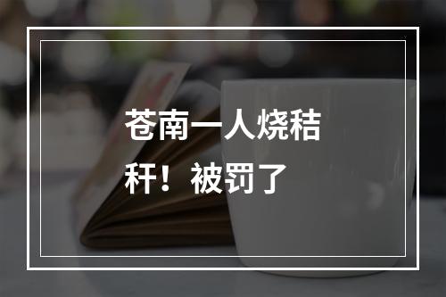 苍南一人烧秸秆！被罚了