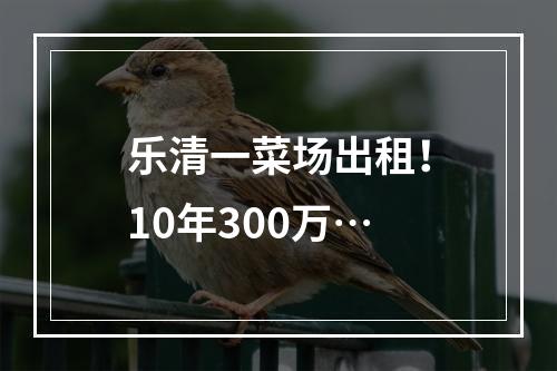 乐清一菜场出租！10年300万…