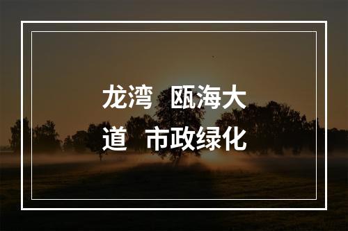 龙湾   瓯海大道   市政绿化