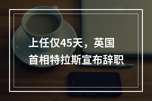 上任仅45天，英国首相特拉斯宣布辞职