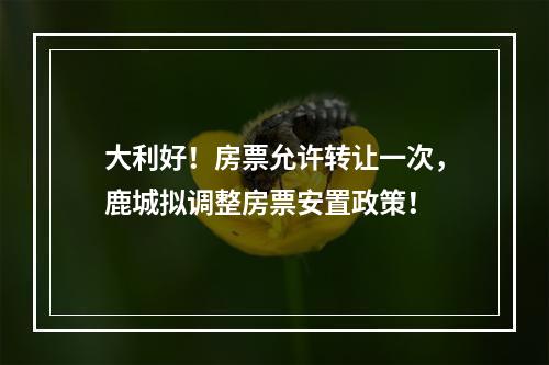 大利好！房票允许转让一次，鹿城拟调整房票安置政策！