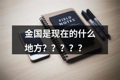 金国是现在的什么地方？？？？？