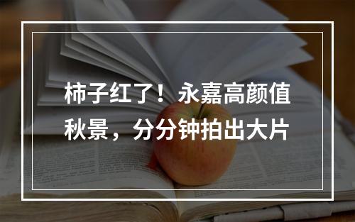柿子红了！永嘉高颜值秋景，分分钟拍出大片