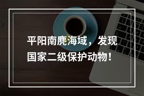 平阳南麂海域，发现国家二级保护动物！