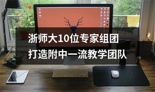 浙师大10位专家组团打造附中一流教学团队