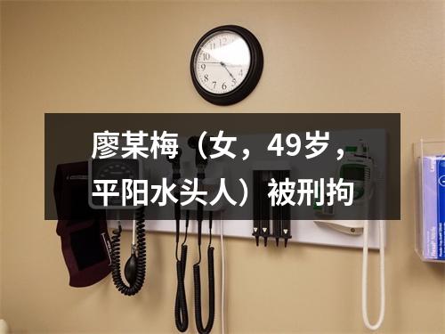 廖某梅（女，49岁，平阳水头人）被刑拘