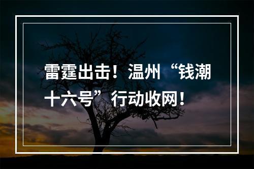雷霆出击！温州“钱潮十六号”行动收网！