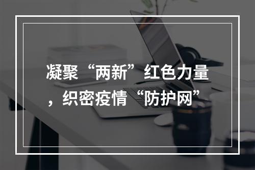 凝聚“两新”红色力量，织密疫情“防护网”