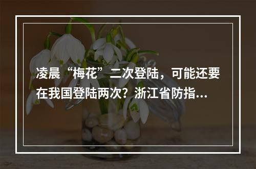 凌晨“梅花”二次登陆，可能还要在我国登陆两次？浙江省防指将防台风应急响 ...