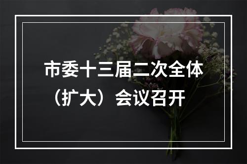 市委十三届二次全体（扩大）会议召开