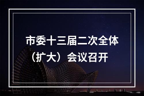 市委十三届二次全体（扩大）会议召开