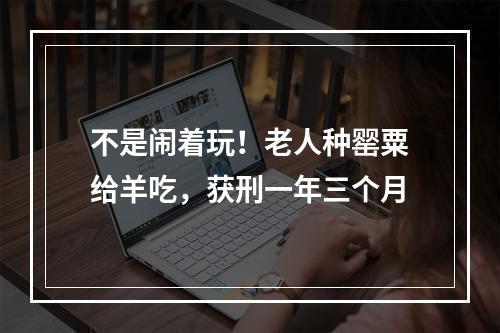 不是闹着玩！老人种罂粟给羊吃，获刑一年三个月