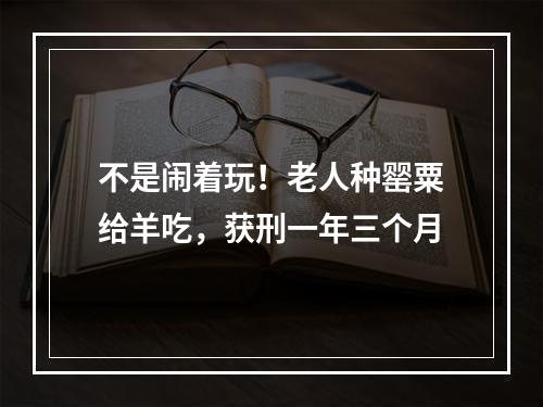 不是闹着玩！老人种罂粟给羊吃，获刑一年三个月