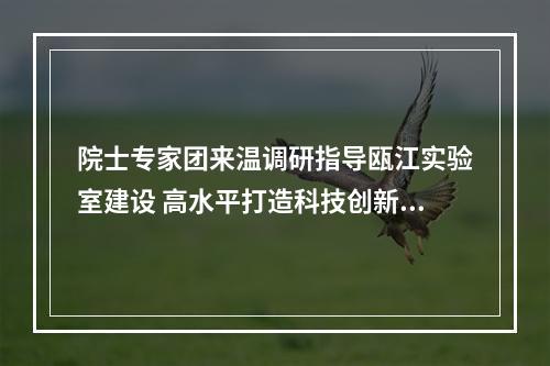 院士专家团来温调研指导瓯江实验室建设 高水平打造科技创新“塔尖重器”