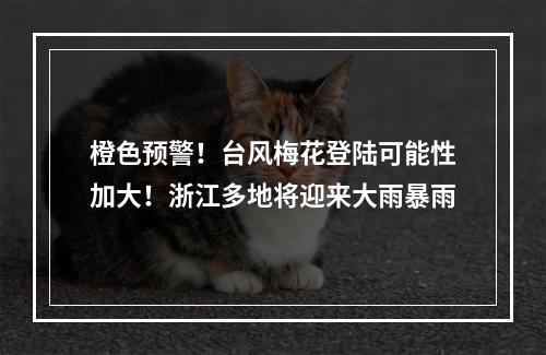 橙色预警！台风梅花登陆可能性加大！浙江多地将迎来大雨暴雨