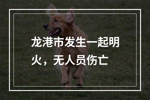 龙港市发生一起明火，无人员伤亡