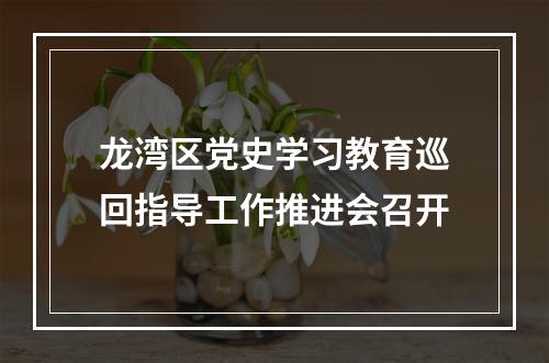 龙湾区党史学习教育巡回指导工作推进会召开