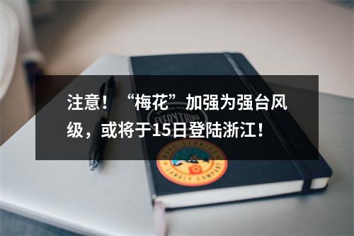 注意！“梅花”加强为强台风级，或将于15日登陆浙江！