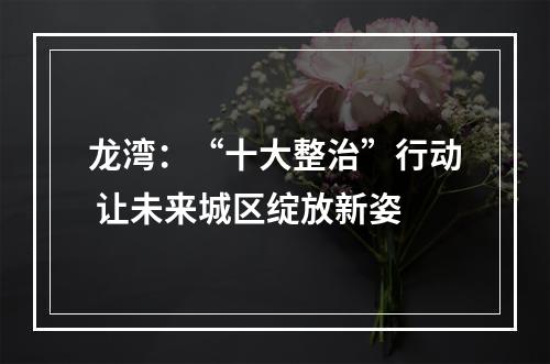 龙湾：“十大整治”行动 让未来城区绽放新姿