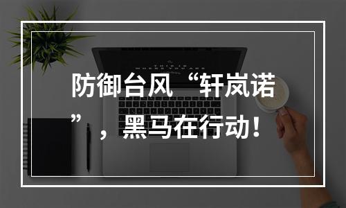 防御台风“轩岚诺”，黑马在行动！