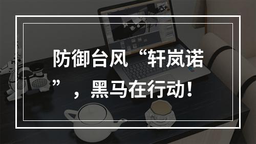 防御台风“轩岚诺”，黑马在行动！