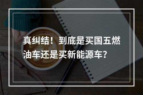 真纠结！到底是买国五燃油车还是买新能源车？