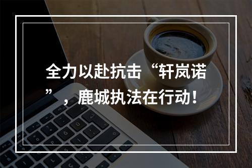 全力以赴抗击“轩岚诺”，鹿城执法在行动！
