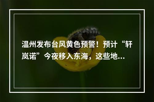 温州发布台风黄色预警！预计“轩岚诺”今夜移入东海，这些地方有降水
