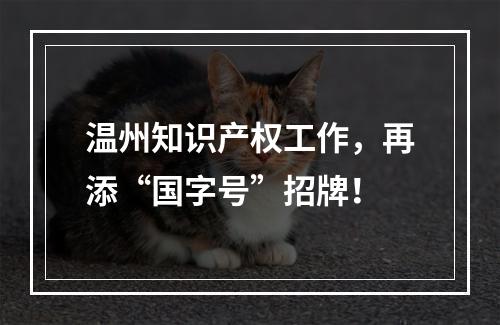 温州知识产权工作，再添“国字号”招牌！
