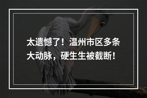 太遗憾了！温州市区多条大动脉，硬生生被截断！