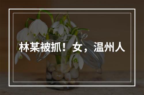 林某被抓！女，温州人