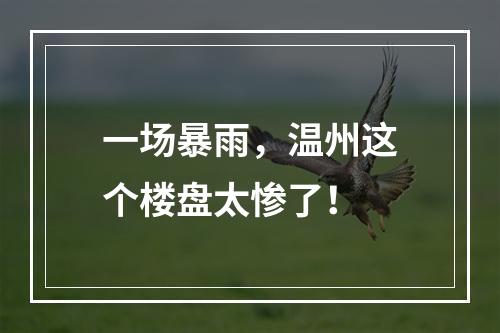 一场暴雨，温州这个楼盘太惨了！