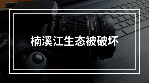 楠溪江生态被破坏